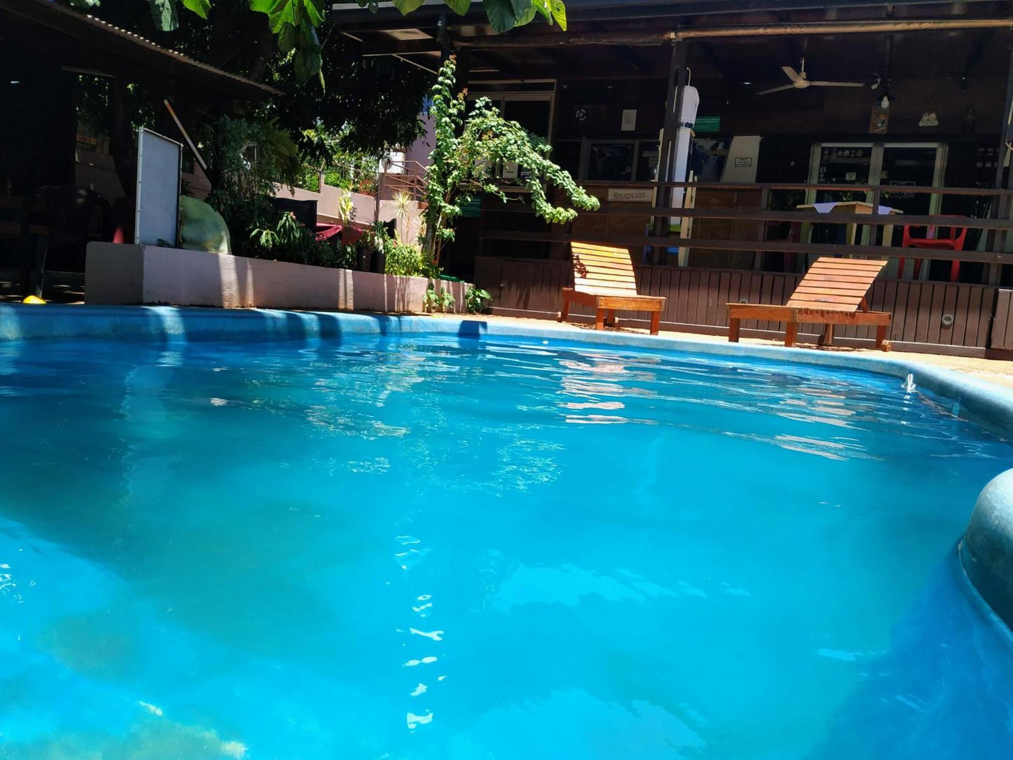 Hostel & Posada Noelia Пуерто Игуасу Екстериор снимка